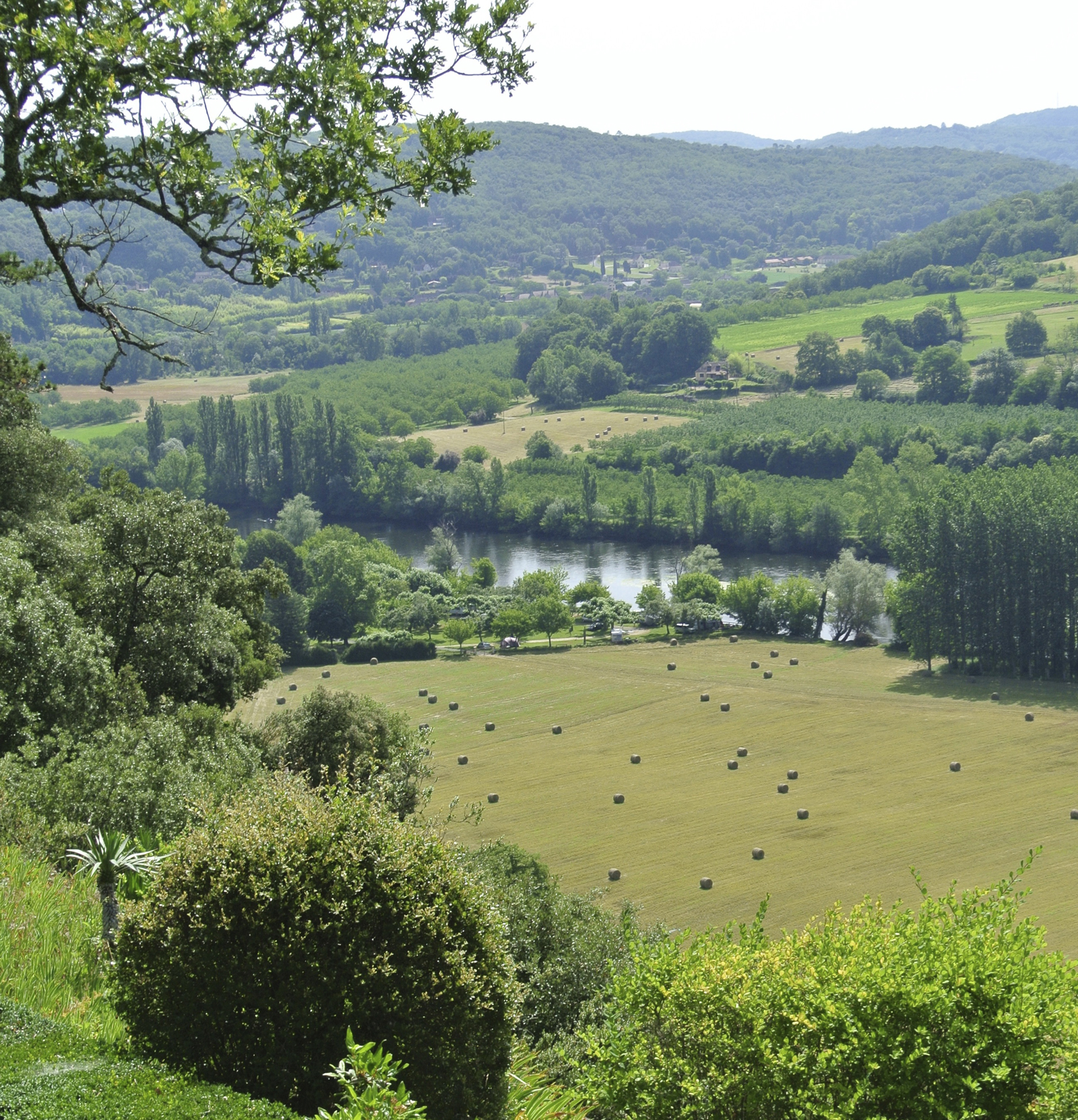 Landscape